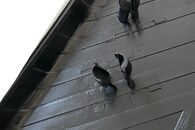 Audi A6 C7 4G avant r.v. 2012 kryty pedálů 8K1864777 4H1723173A