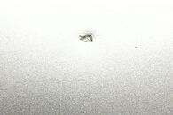 Audi A6 4F avant r.v. 2008 stříbrná metalíza kód barvy LY7W kapota