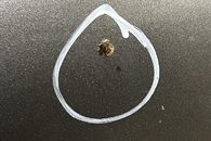 VW Passat B7 kombi r.v. 2013 zlatošedá metalíza kód barvy LC8Y kapota